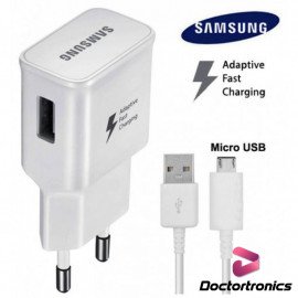 Play Samsung 2 Pin Charger